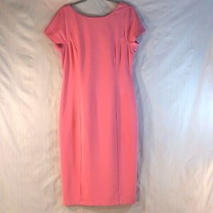 Daniel Cremieux Pink Short Sleeve Mid Length Sheath Dress Scoop Back M 👍